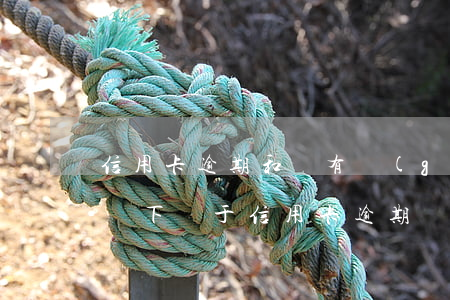 信用卡逾期和誰有關(guān)系(什么情況下屬于信用卡逾期)