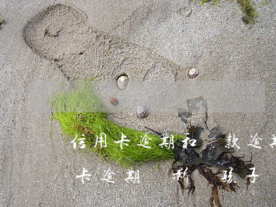 信用卡逾期和貸款逾期會影響家人嗎(欠信用卡逾期會影響孩子嗎)