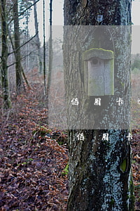信用卡逾期和車貸房貸有關系嗎(車貸逾期和信用卡逾期)
