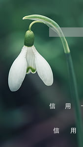 信用卡逾期和車貸有影響嗎(車貸逾期會影響信用卡使用嗎)
