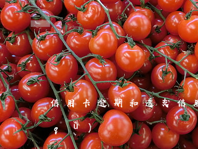 信用卡逾期和透支(信用卡逾期和透支的區(qū)別)