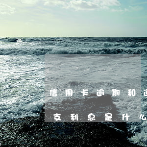 信用卡逾期和透支的區(qū)別(信用卡透支利息是什么意思逾期了嗎)