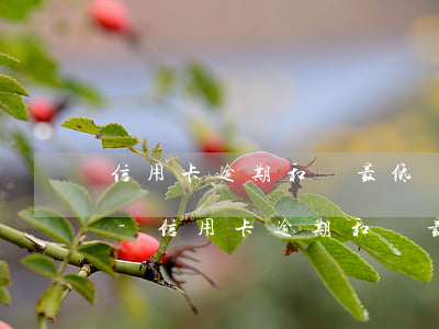 信用卡逾期和還最低還款有區(qū)別嗎-信用卡逾期和還最低還款有區(qū)別嗎怎么辦