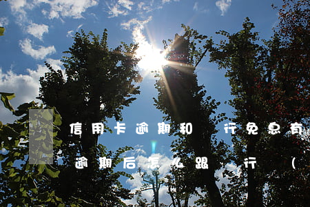 信用卡逾期和銀行免息有協(xié)議嗎(逾期后怎么跟銀行協(xié)商免息)