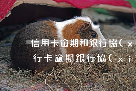 信用卡逾期和銀行協(xié)商未成功(銀行卡逾期銀行協(xié)商不了)