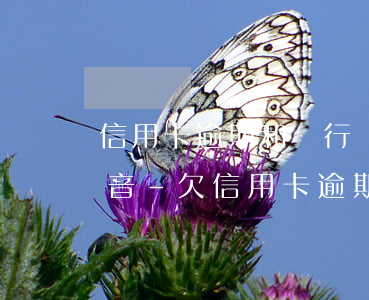 信用卡逾期和銀行協(xié)商用不用錄音-欠信用卡逾期利息可以協(xié)商嗎