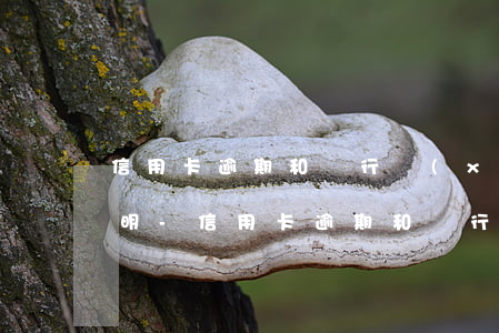 信用卡逾期和銀行協(xié)商的情況說明-信用卡逾期和銀行協(xié)商的情況說明怎么寫