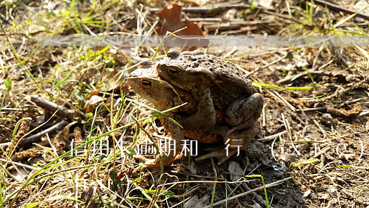 信用卡逾期和銀行協(xié)商話術(shù)