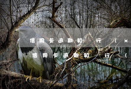 信用卡逾期和銀行協(xié)商還款合同(信用卡逾期和銀行協(xié)商還款合同)