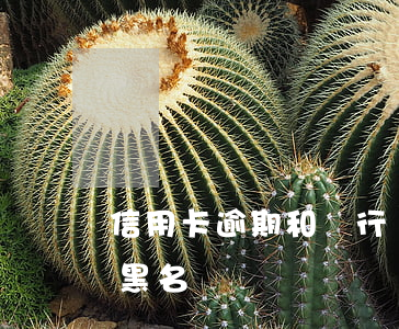 信用卡逾期和銀行錄入黑名單(信用卡被列入黑名單)
