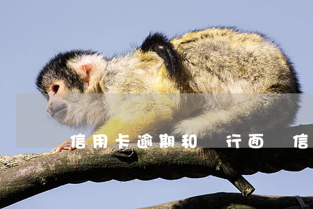 信用卡逾期和銀行面談(信用卡逾期談判技巧)