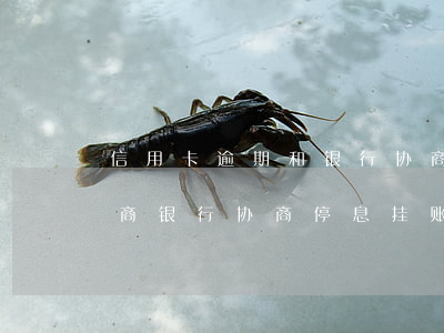信用卡逾期和银行协商办停息挂账(怎样与招商银行协商停息挂账和逾期分期)