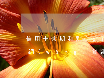 信用卡逾期和點(diǎn)過(guò)網(wǎng)貸(網(wǎng)貸逾期跟信用卡逾期哪個(gè)嚴(yán)重)