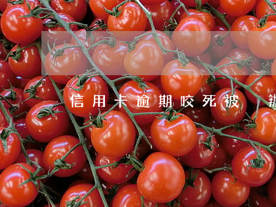 信用卡逾期咬死被盜辦(信用卡逾期被抓)