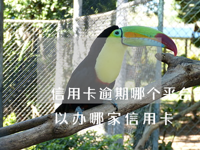 信用卡逾期哪个平台能贷-有网贷有逾期可以办哪家信用卡