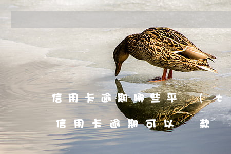 信用卡逾期哪些平臺(tái)可以貸款(有信用卡逾期可以貸款嗎)