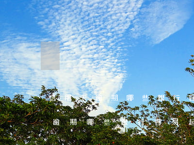 信用卡逾期哪些銀行容易起訴還款-信用卡逾期哪些銀行容易起訴還款人