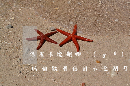信用卡逾期哪個(gè)平臺(tái)可以借款(有信用卡逾期可以貸款嗎)