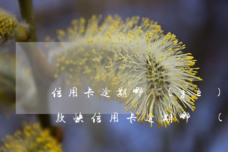 信用卡逾期哪個(gè)平臺(tái)貨款快（信用卡逾期哪個(gè)平臺(tái)貨款）