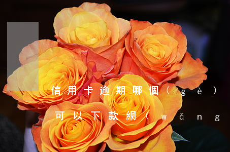 信用卡逾期哪個(gè)網(wǎng)貸可以下款(網(wǎng)貸有逾期可以申請信用卡嗎)