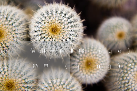 信用卡逾期哪個(gè)網(wǎng)貸能申請(qǐng)(有網(wǎng)貸逾期還能申請(qǐng)信用卡嗎)