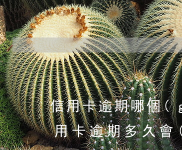 信用卡逾期哪個(gè)銀行起訴(欠銀行信用卡逾期多久會(huì)被起訴)