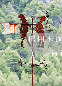 信用卡逾期哪個平臺能貸-有網(wǎng)貸有逾期可以辦哪家信用卡