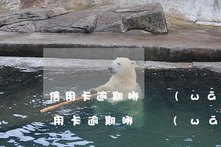 信用卡逾期哪個網(wǎng)貸能下款(信用卡逾期哪個網(wǎng)貸能下款)