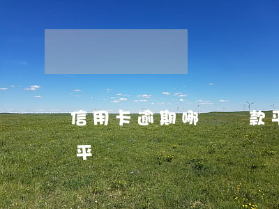 信用卡逾期哪個貸款平臺好(有信用卡貸這個平臺嗎)