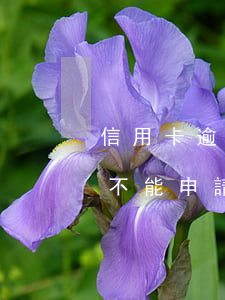 信用卡逾期哪個銀行需要證明(有逾期記錄能不能申請信用卡)