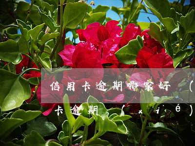 信用卡逾期哪家好協(xié)商還款 信用卡 逾期 協(xié)商