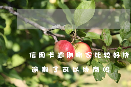 信用卡逾期哪家比较好协商(4大银行信用卡逾期了可以协商吗?)