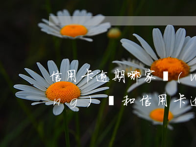 信用卡逾期哪家網(wǎng)貸(網(wǎng)貸和信用卡逾期哪個可怕)