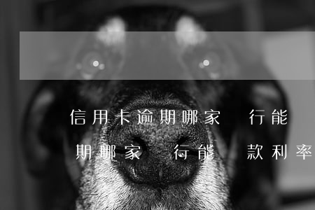 信用卡逾期哪家銀行能貸款利率-信用卡逾期哪家銀行能貸款利率最低