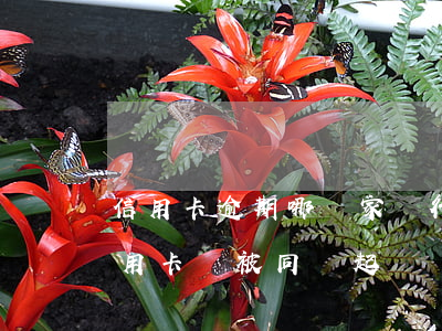 信用卡逾期哪幾家銀行會起訴(欠幾家銀行信用卡會被同時起訴嗎)