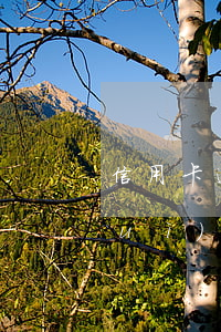 信用卡逾期哪種情況不影響征信(逾期會(huì)影響信用卡嗎)