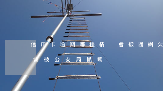 信用卡逾期哪種情況會被通緝(欠信用卡逾期會被公安局抓嗎)