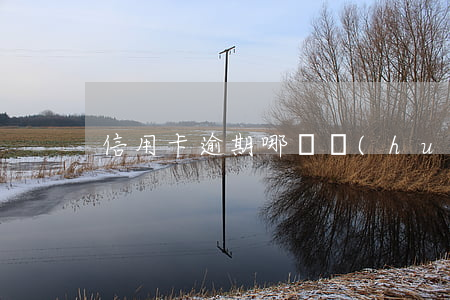 信用卡逾期哪種會(huì)被起訴