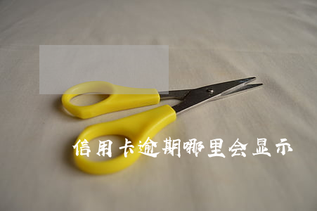 信用卡逾期哪里会显示
