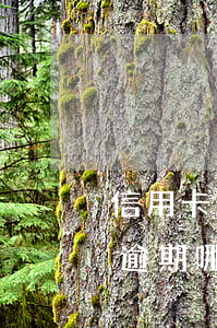 信用卡逾期哪里能貸一萬(wàn)(信用卡逾期哪里能貸一萬(wàn)五)