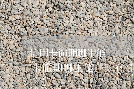 信用卡逾期哪里能貸點(diǎn)款(信用卡逾期哪里能貸點(diǎn)款)