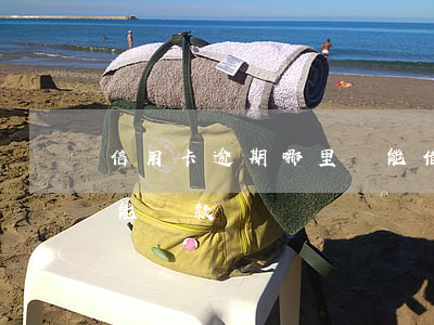 信用卡逾期哪里還能借大額(有信用卡逾期還能貸款嗎)