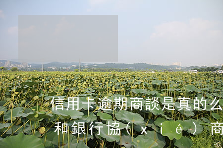 信用卡逾期商談是真的么(信用卡逾期怎么樣和銀行協(xié)商)