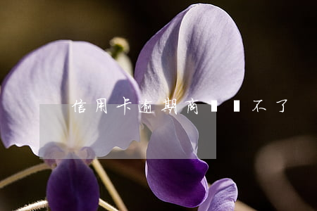 信用卡逾期商貸貸不了