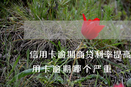 信用卡逾期商贷利率提高多少(贷款逾期和信用卡逾期哪个严重)