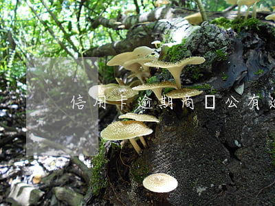 信用卡逾期 商轉公(有逾期還款能商轉公嗎)