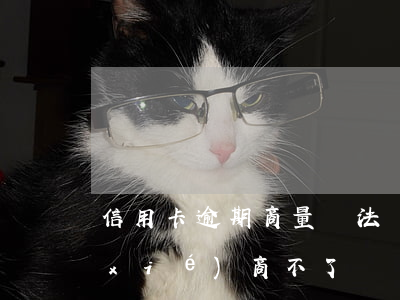 信用卡逾期商量辦法 為什么信用卡逾期協(xié)商不了