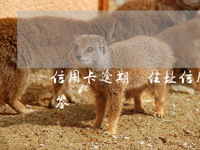 信用卡逾期問住址(信用卡逾期問住址怎么回答)