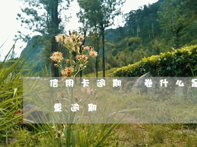 信用卡逾期問卷 什么是信用卡嚴(yán)重逾期