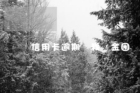 信用卡逾期問我資金困難(信用卡逾期無力償還)
